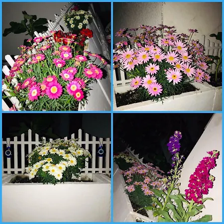 Halikarnas 3* Bodrum