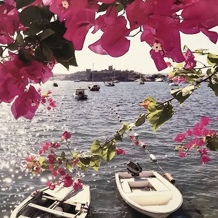 Halikarnas 3* Bodrum