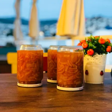 호텔 Halikarnas Bodrum