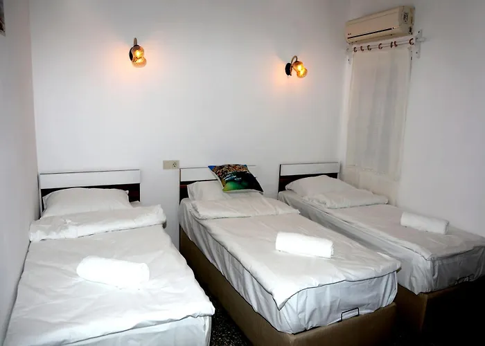 Отель Halikarnas 3*