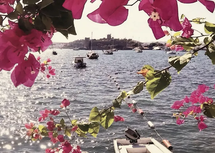 Halikarnas 3* Бодрум