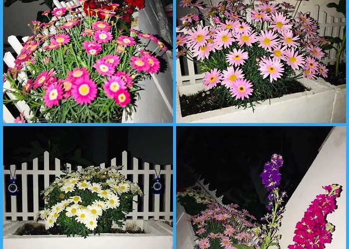 Halikarnas 3* Бодрум